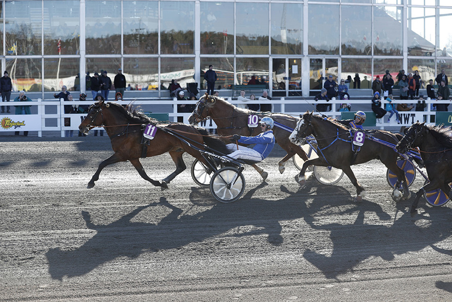 Ramstad Balder mål.jpg