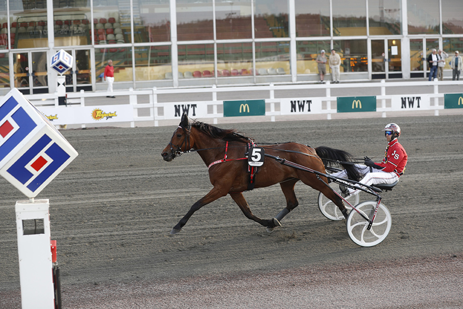 Endwithastar mål.jpg