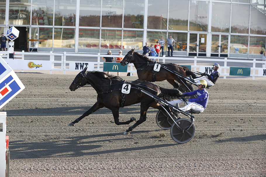 Caprocon Trot mål.jpg