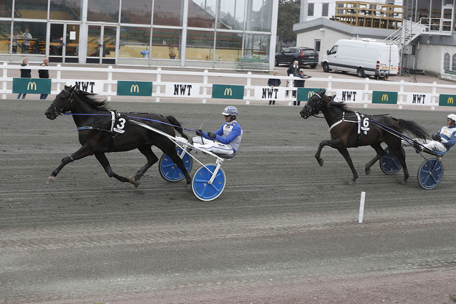 Lady Vici mål.jpg